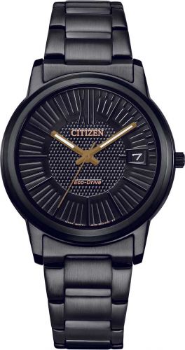 Citizen Eco-Drive FE6017-85E