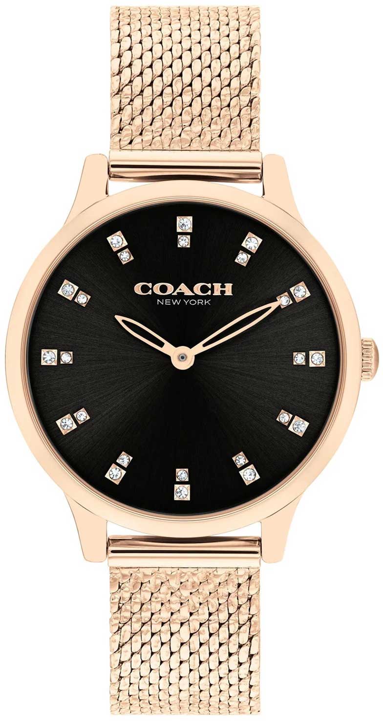 �������� ���� COACH 14504217-ucenka