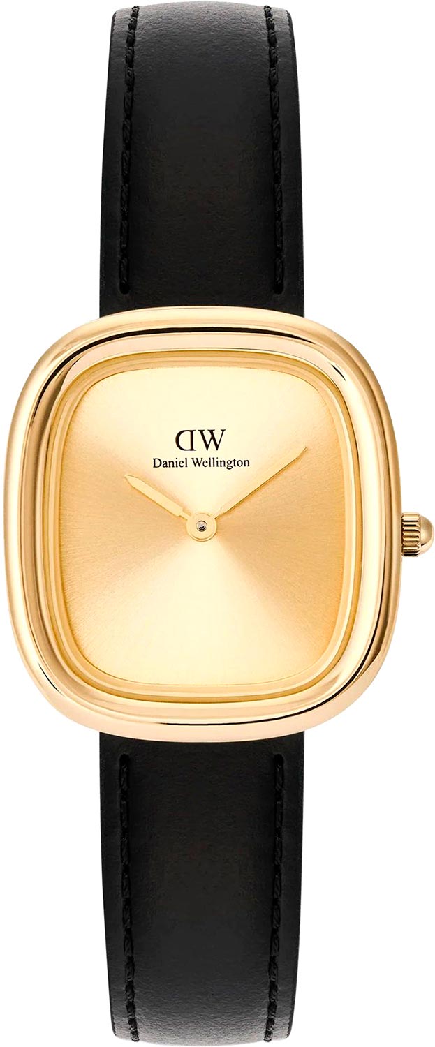 �������� ���� Daniel Wellington DW00100878