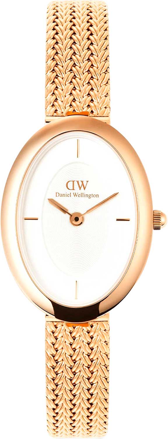 �������� ���� Daniel Wellington DW00100883