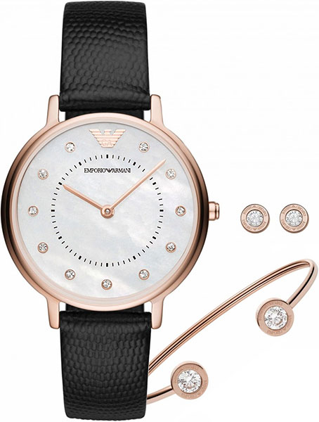 Наручные часы Emporio Armani AR80011