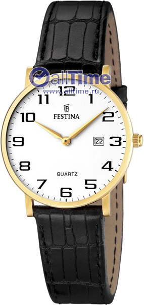 Наручные часы Festina F16479/1