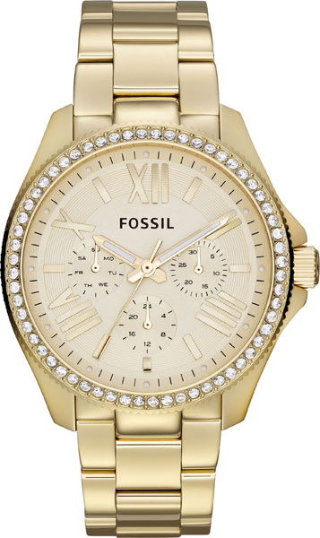   Fossil AM4482