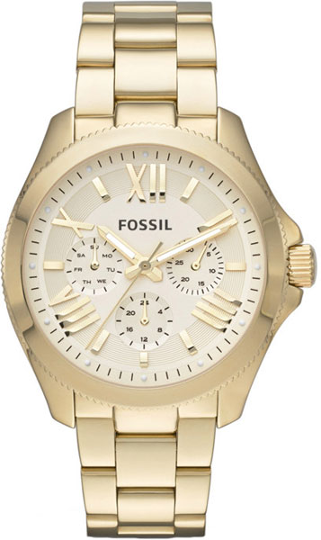 Наручные часы Fossil AM4510