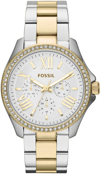 Наручные часы Fossil AM4543