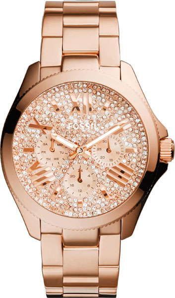 Наручные часы Fossil AM4604