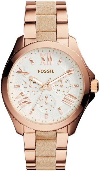   Fossil AM4622
