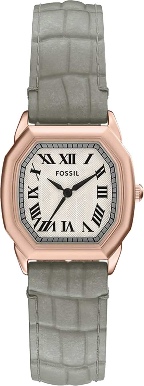 Наручные часы Fossil ES5435
