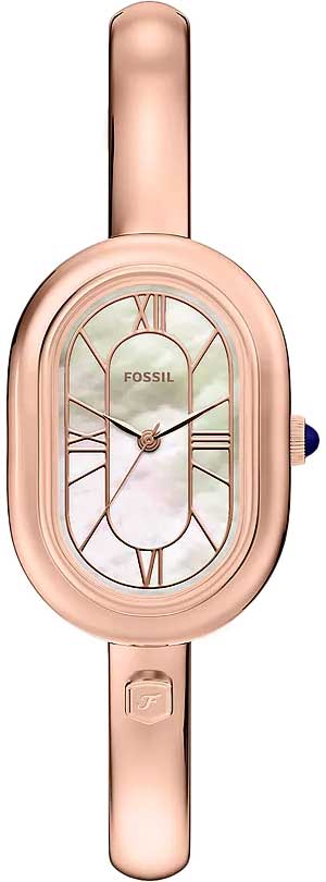 Наручные часы Fossil ES5472