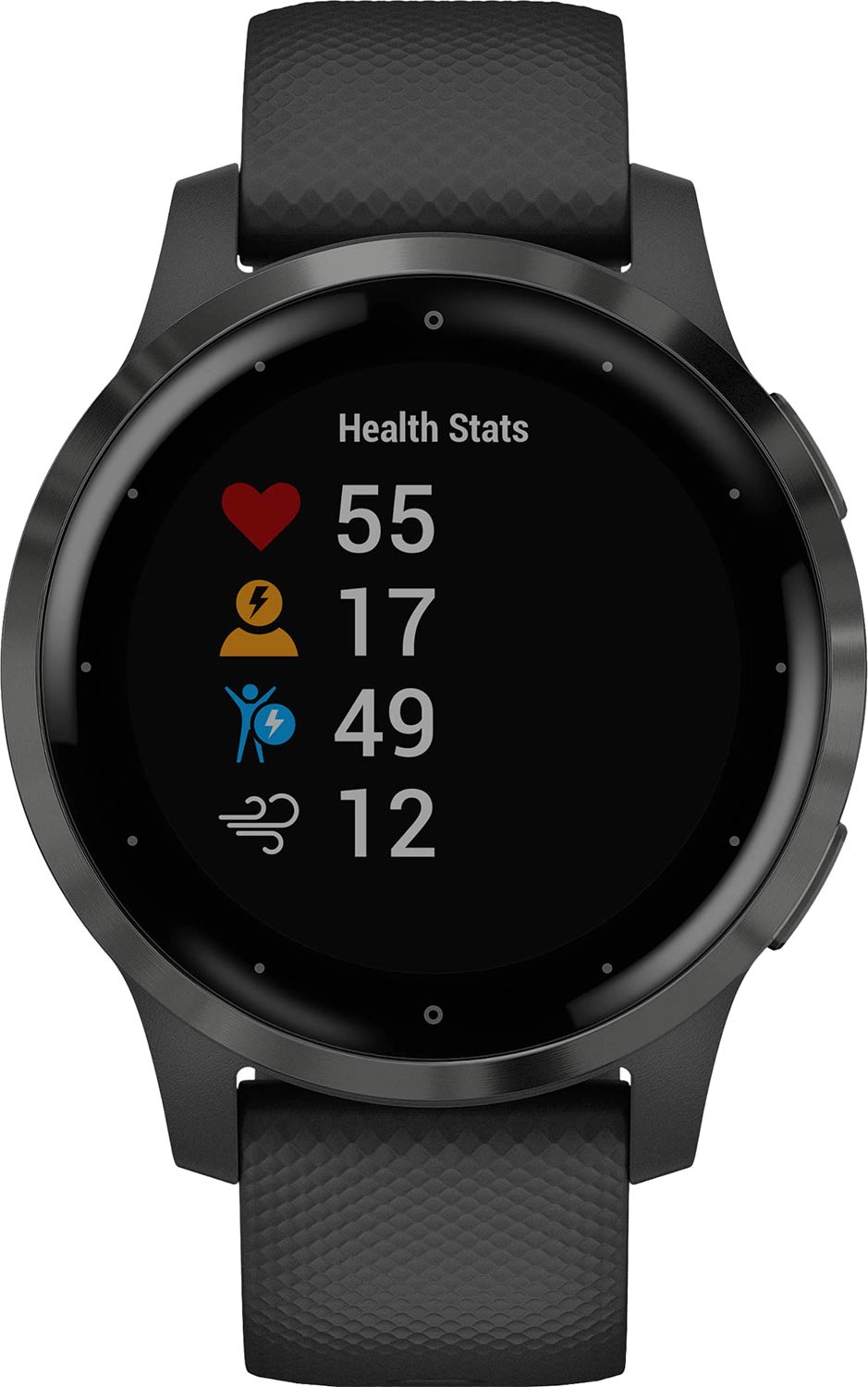   Garmin Vivoactive 4S Black/Slate Wi-Fi GPS 010-02172-13