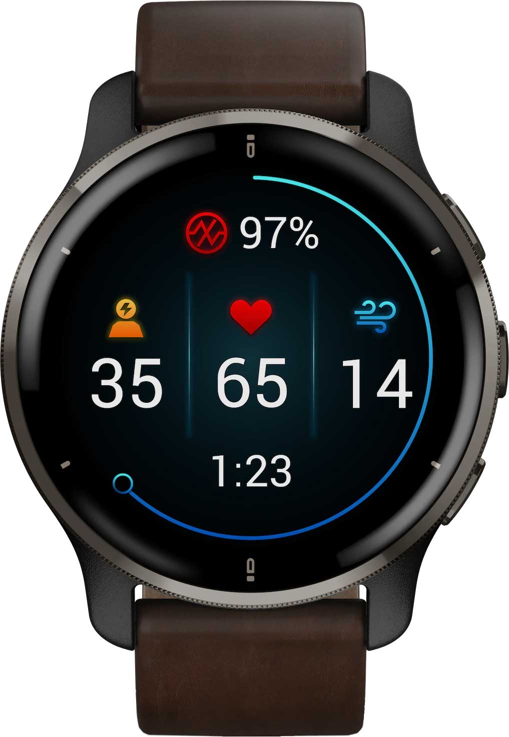   Garmin Venu 2 Plus Black 010-02496-15