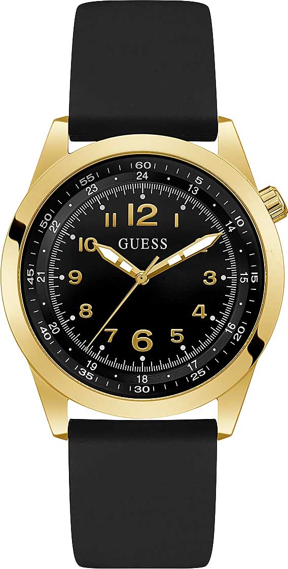   Guess GW0494G2