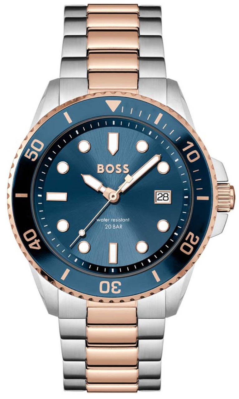   Hugo Boss HB1514012