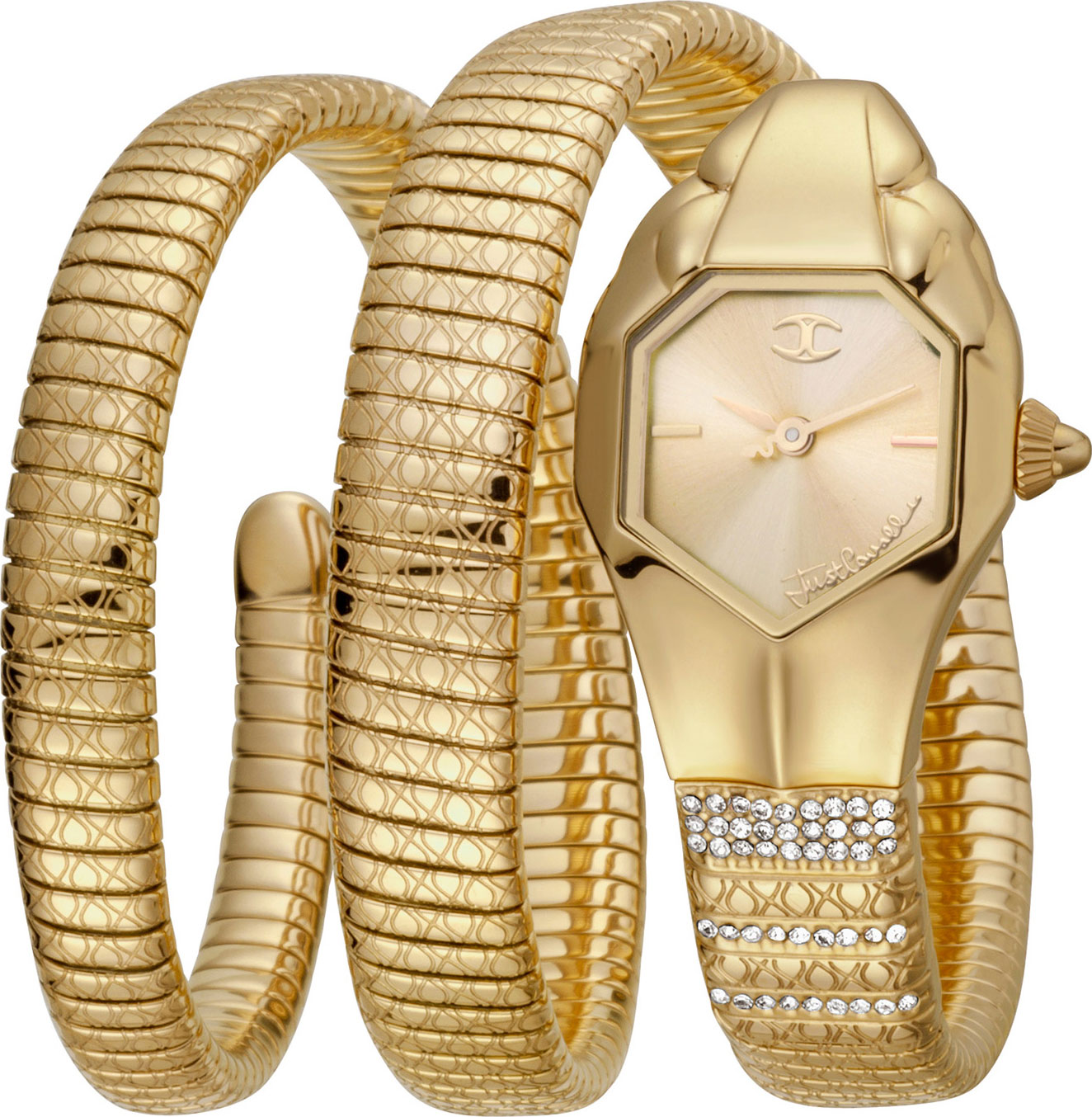 Наручные часы Just Cavalli JC1L112M0025