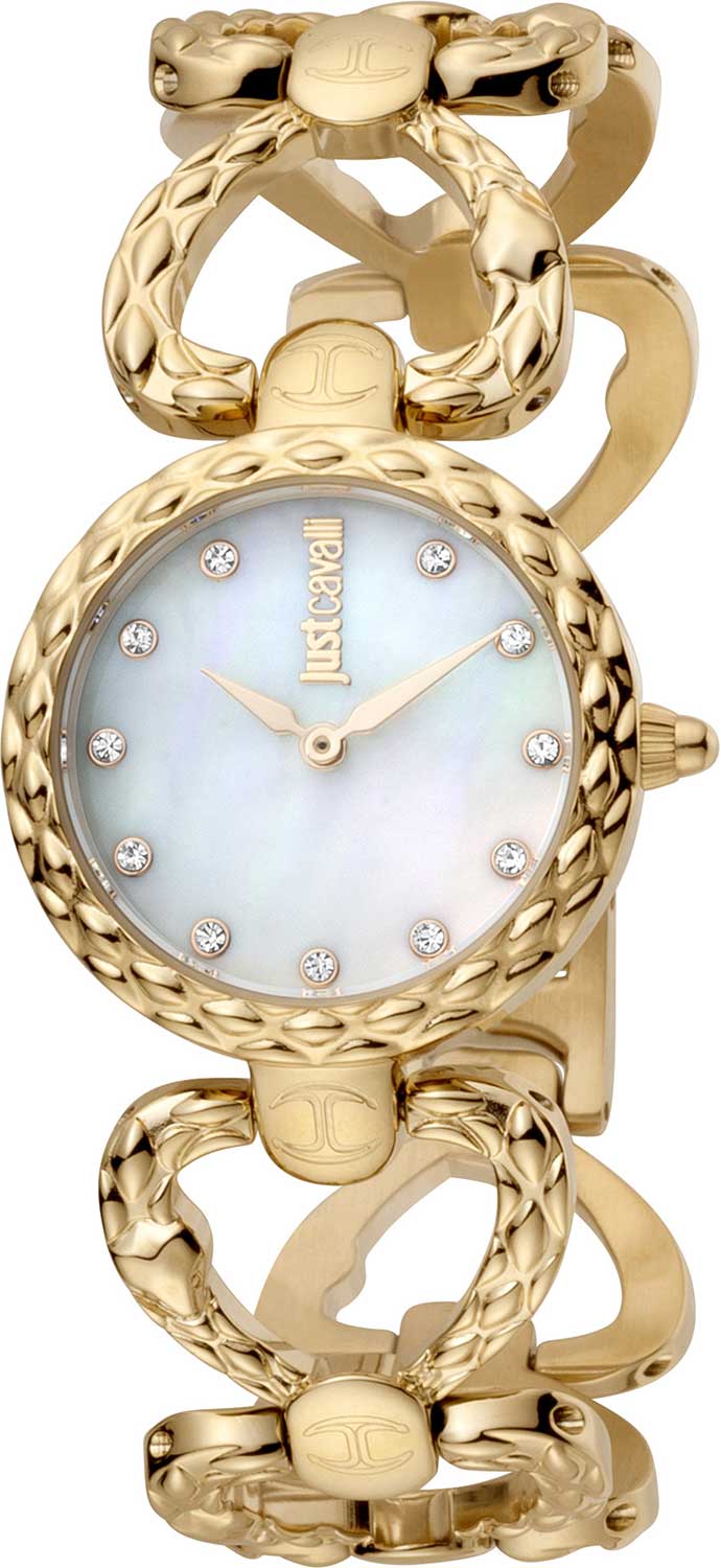 Наручные часы Just Cavalli JC1L132M0025