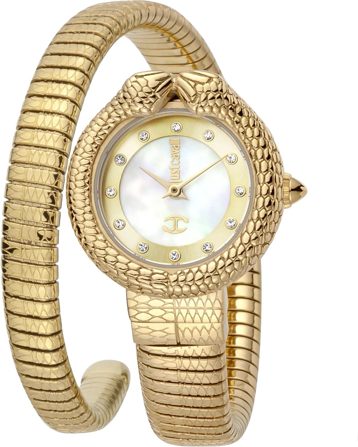 Наручные часы Just Cavalli JC1L161M0025