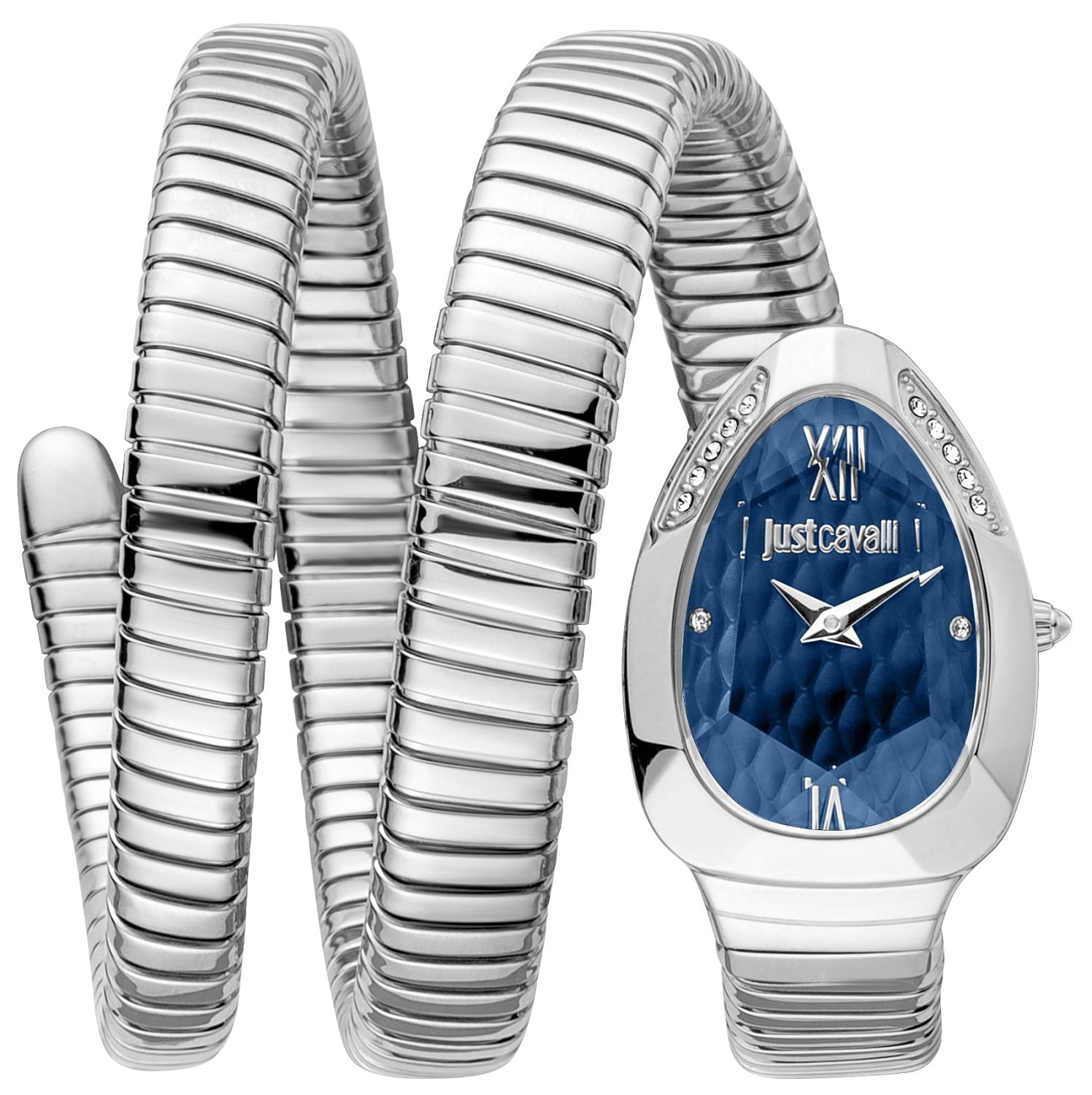 Наручные часы Just Cavalli JC1L224M0025