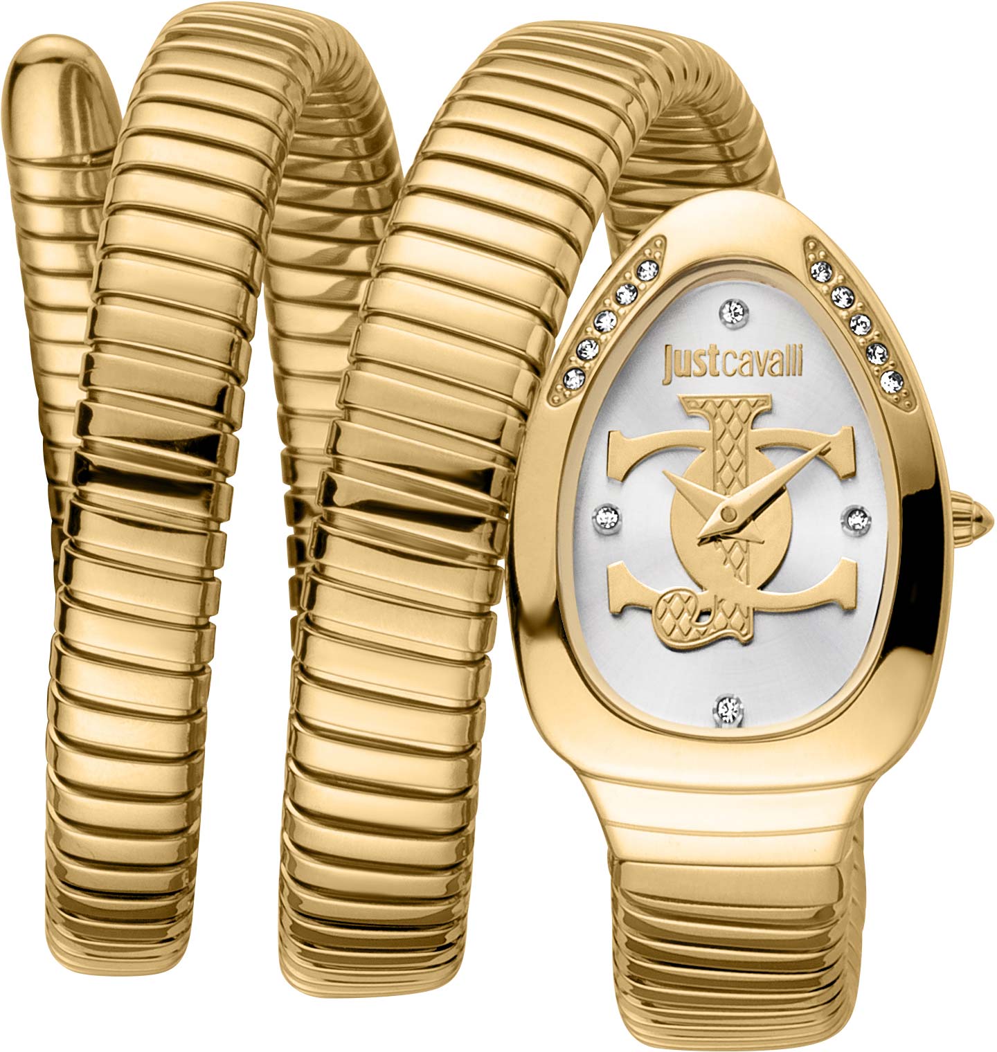 Наручные часы Just Cavalli JC1L228M0035