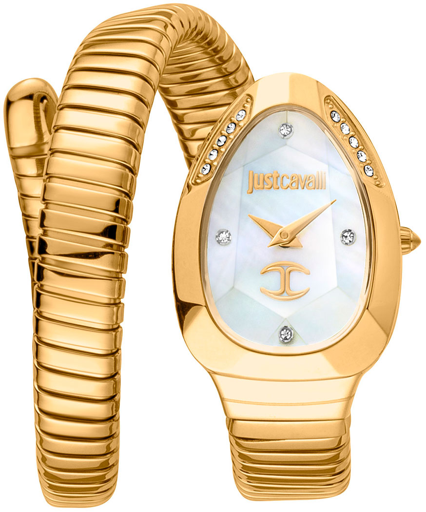 Наручные часы Just Cavalli JC1L229M0025