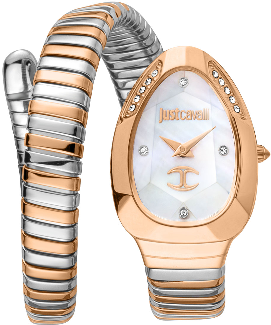 Наручные часы Just Cavalli JC1L229M0075