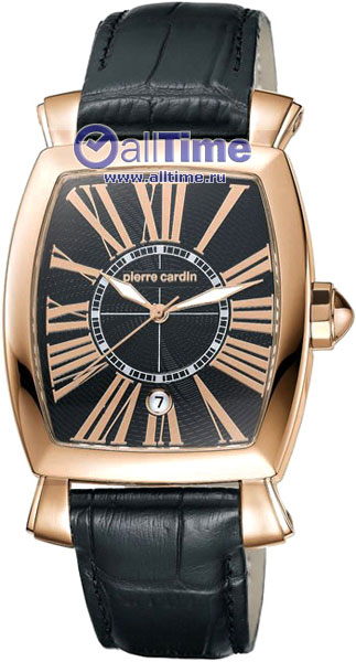   Pierre Cardin PC100261F03
