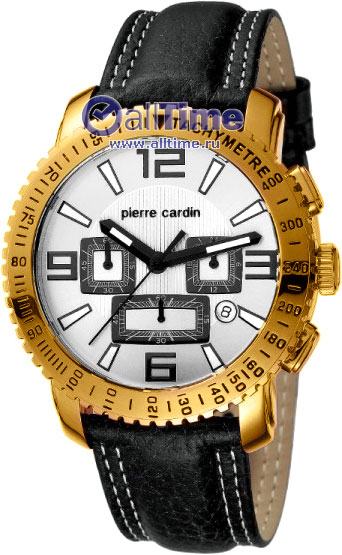 �������� ���� Pierre Cardin PC101731F04 � �����������