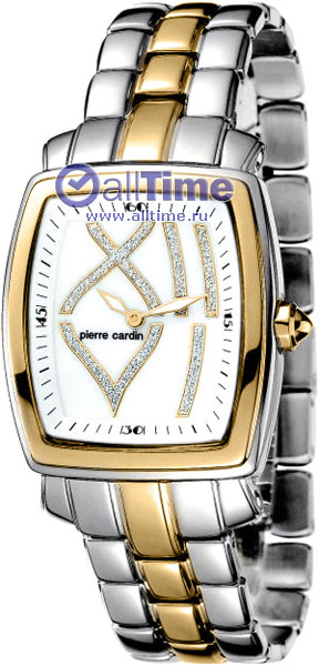 Наручные часы Pierre Cardin PC102072F05