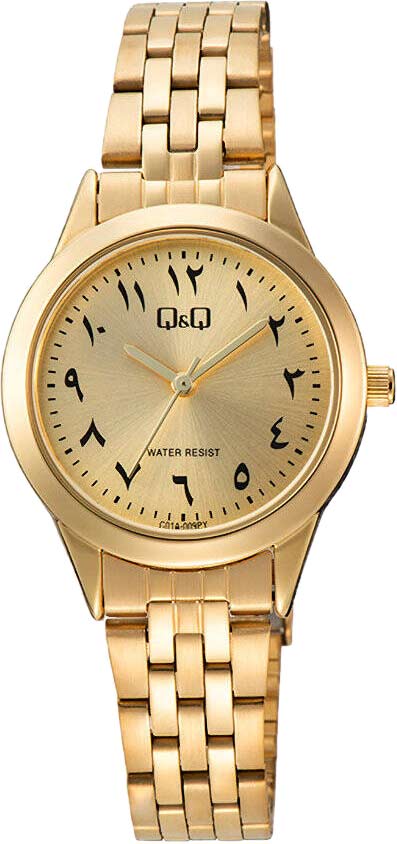 �������� �������� ���� Q&Q C01A-009PY