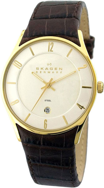 Наручные часы Skagen 474XLGL