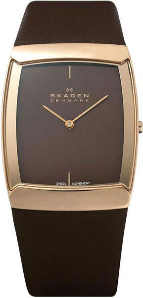 Наручные часы Skagen 584LRLM