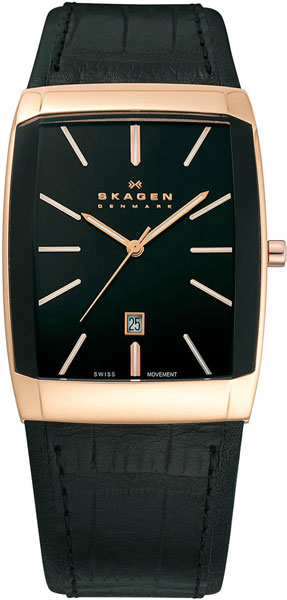 Наручные часы Skagen 984LRLB