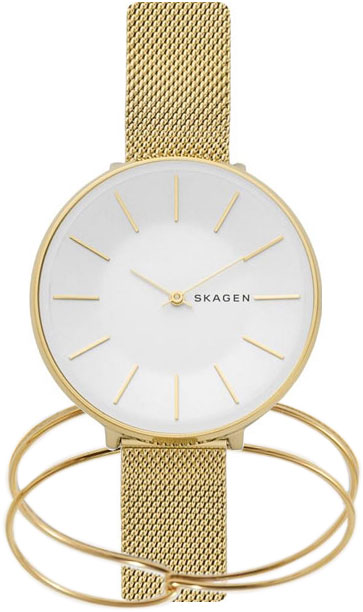 Наручные часы Skagen SKW1104