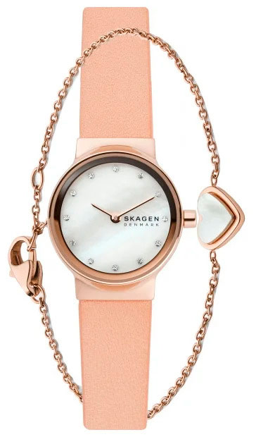 Наручные часы Skagen SKW1113