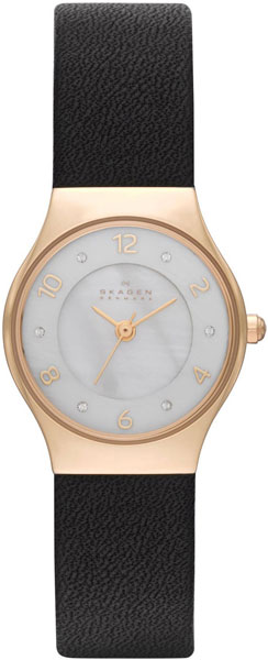 Наручные часы Skagen SKW2209