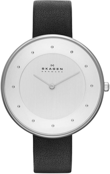 Наручные часы Skagen SKW2232