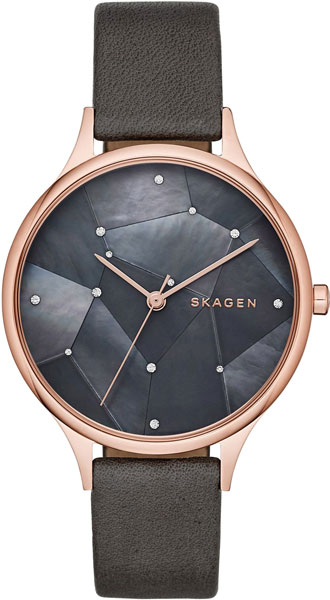 Наручные часы Skagen SKW2390