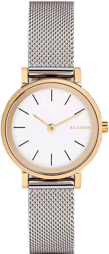   Skagen SKW2445