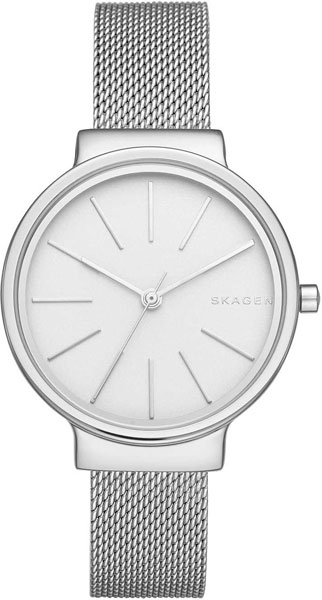 Наручные часы Skagen SKW2478