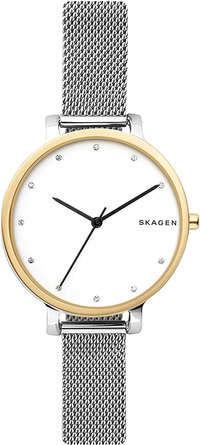 Наручные часы Skagen SKW2661
