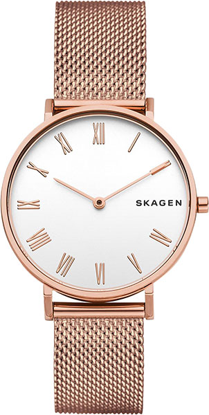 Наручные часы Skagen SKW2714