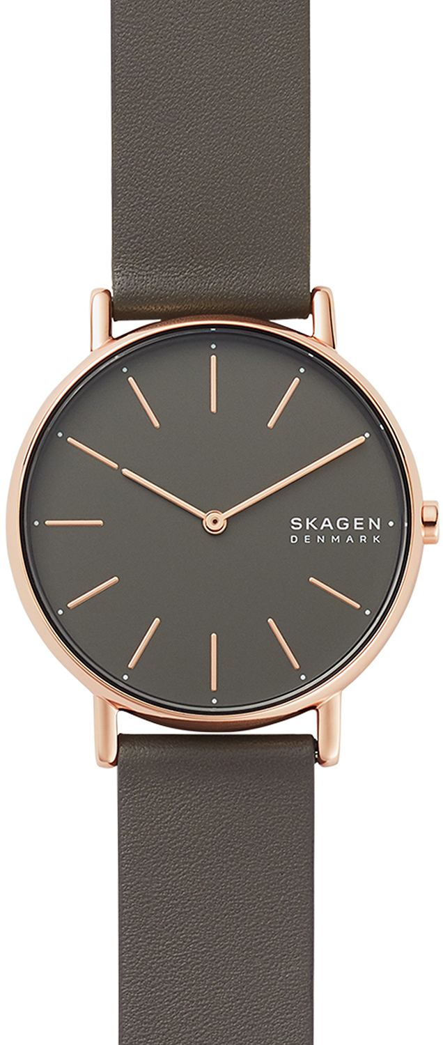 Наручные часы Skagen SKW2794