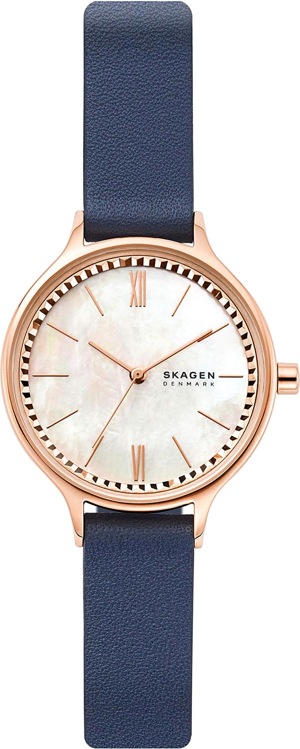 Наручные часы Skagen SKW2864