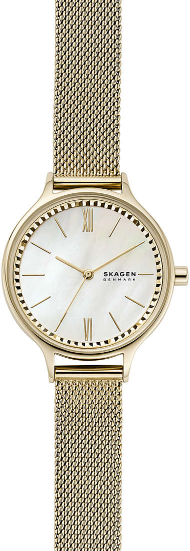 Наручные часы Skagen SKW2907