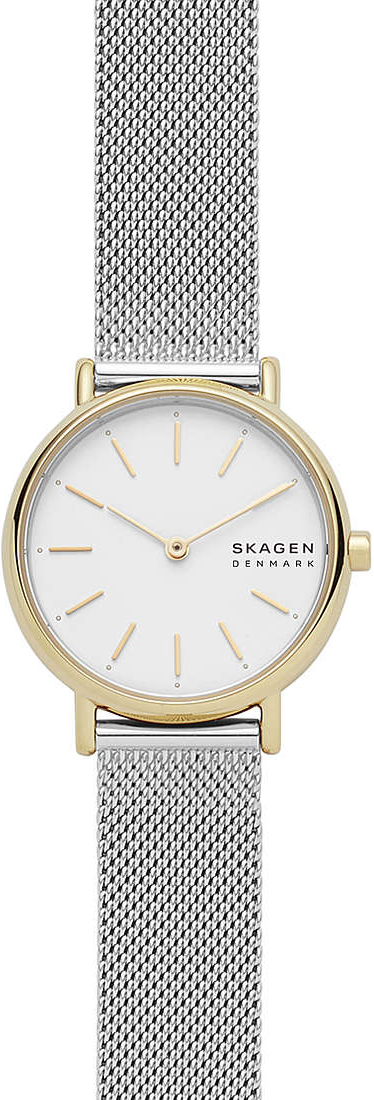 Наручные часы Skagen SKW2910