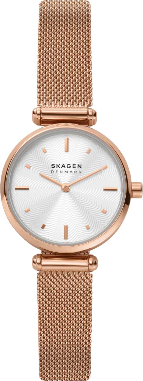 Наручные часы Skagen SKW2955