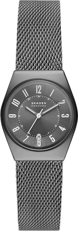 Наручные часы Skagen SKW3039