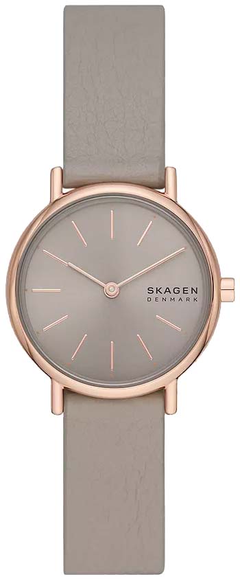 Наручные часы Skagen SKW3060