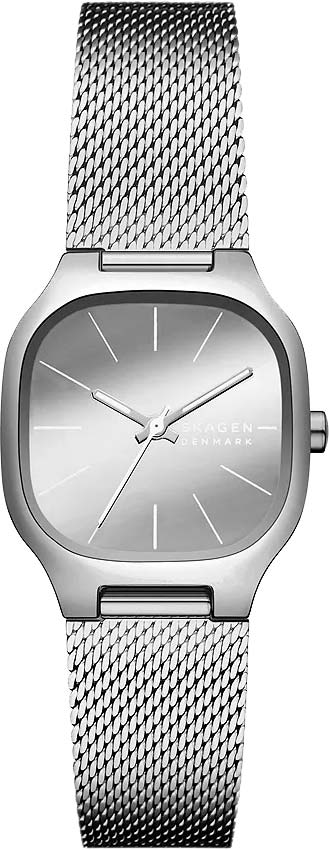 Наручные часы Skagen SKW3163