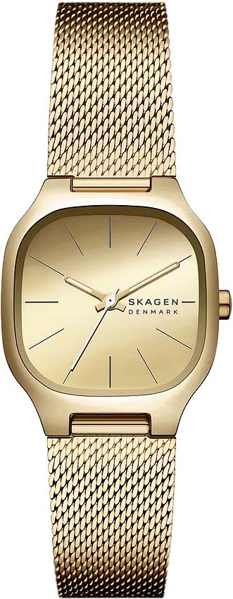 Наручные часы Skagen SKW3164