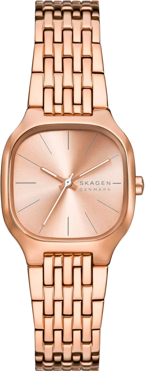 Наручные часы Skagen SKW3166